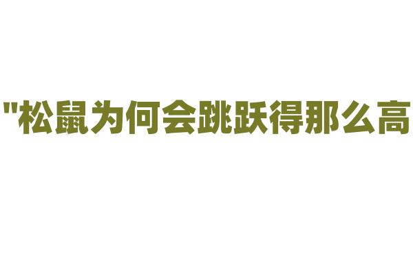 "松鼠为何会跳跃得那么高？"